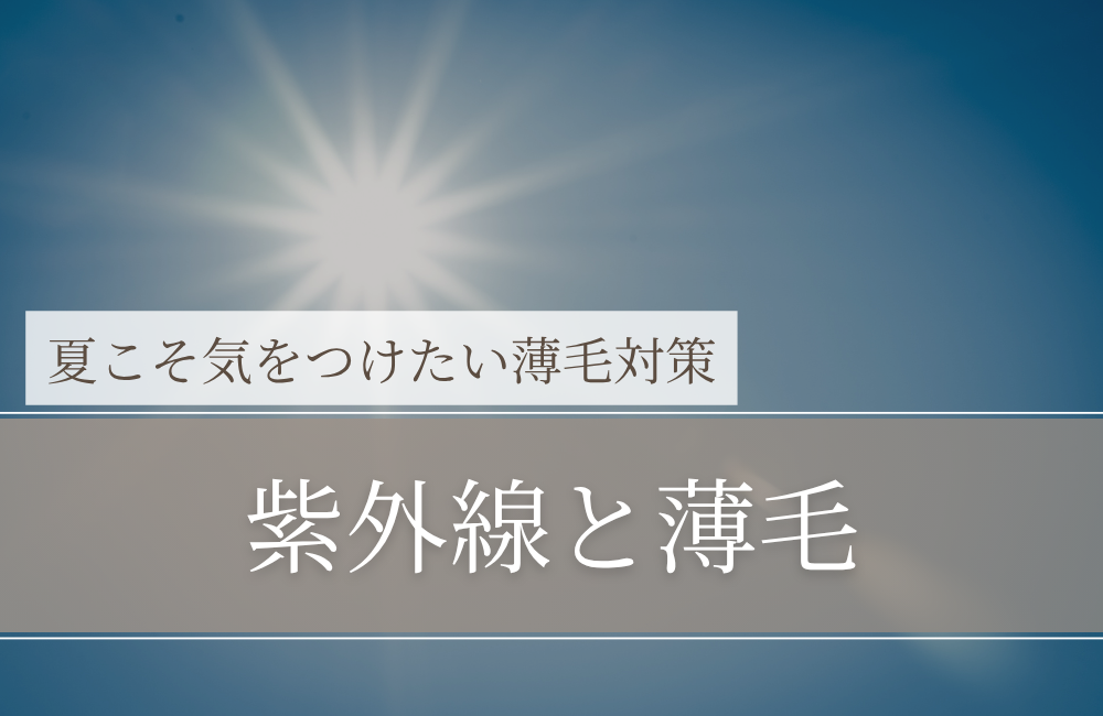 紫外線と薄毛｜「日焼け＝肌だけ」ではなく、頭皮の老化が髪に出る