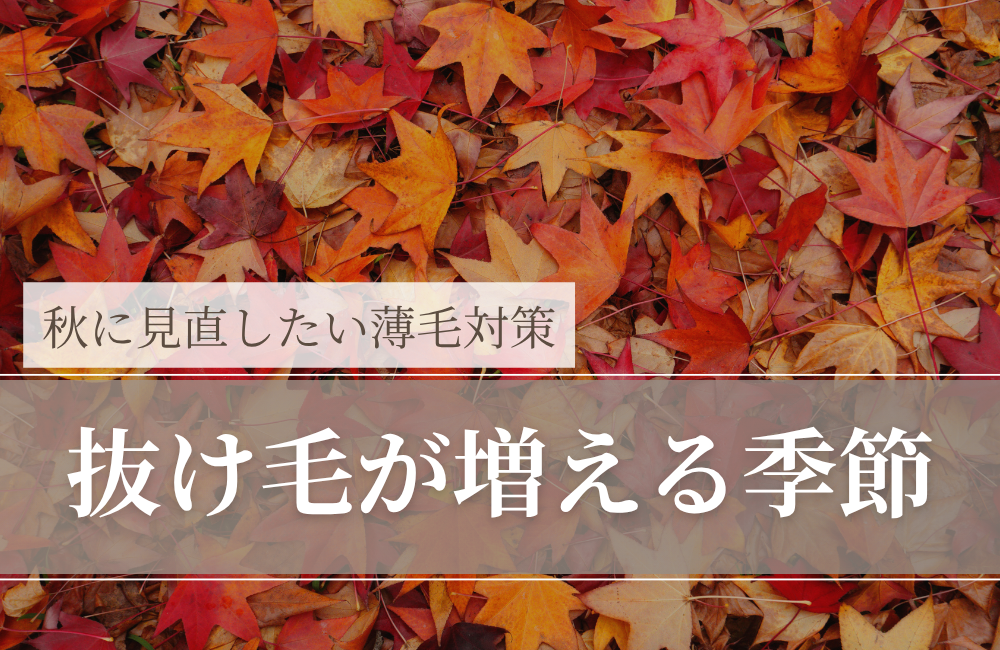 抜け毛が増える季節｜「秋に多い」と言われる理由と、増えたときの正しい対処
