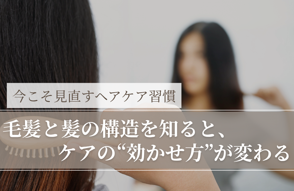 毛髪と髪の構造を知ると、ケアの“効かせ方”が変わる