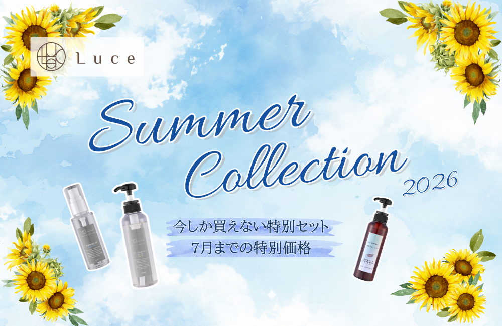 【期間限定】夏の特別セット